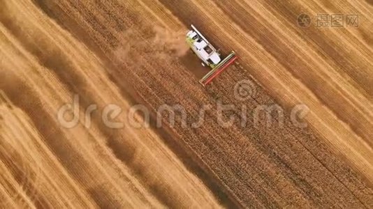 空中景色夏季小麦收获。 田间劳动的收割者.. 联合收割机农用机器视频