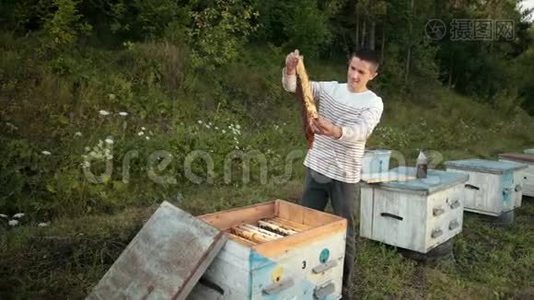 养蜂人站在蜂巢附近，手里拿着一个蜂巢视频