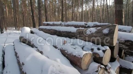 冬天阴天，路上长满了白雪的树木。视频