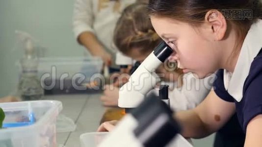 特写镜头。 孩子们在学校实验室里看显微镜，学习生物学，化学。 学校科学概念。视频