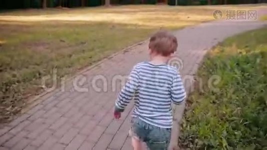 一个可爱的小男孩在阳光明媚的夏天在公园的路上散步。 后景，慢影视频