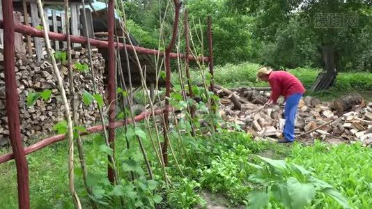 人劈木近乡村花园.. 在树林里做季节性工作。 4K视频