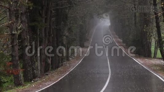 暴雨中的森林道路视频