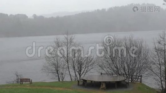 在雨中的Vrynwy湖视频