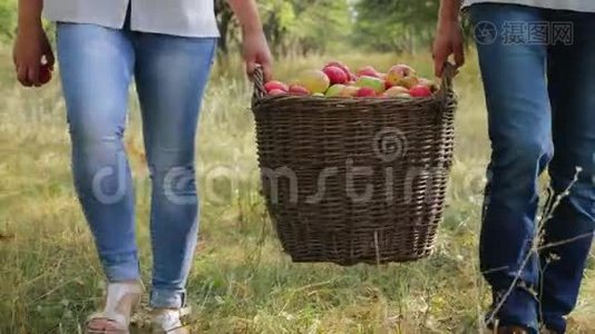 农民们背着满满一篮子苹果。 特写视频