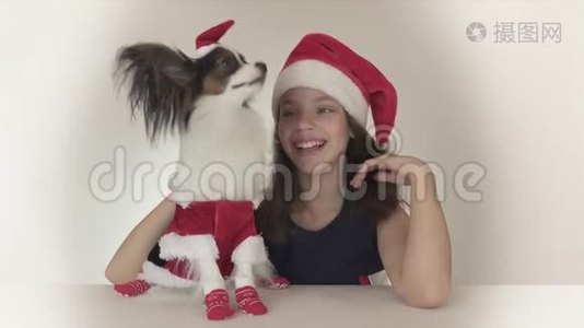 美丽的少女和狗，穿着圣诞老人服装的美洲玩具斯帕尼尔·帕皮隆，欢快地亲吻和愚弄视频