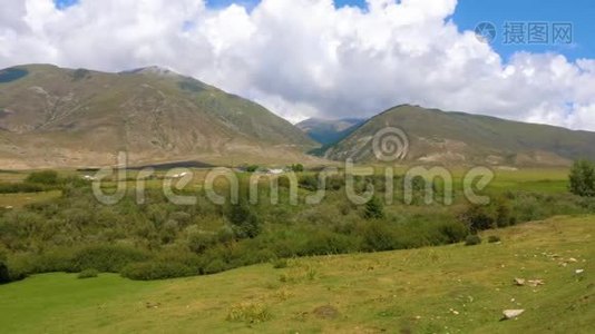 夏季山草景观全景图视频