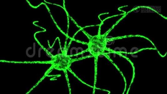 神经元系统线框网.视频