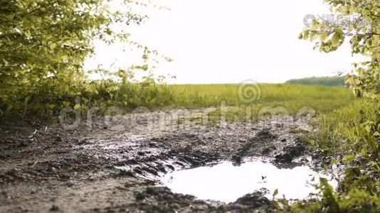 背包客骑着自行车在森林水坑里游泳视频