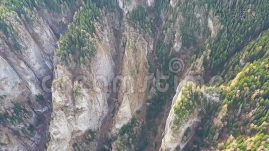 夏日森林中的高山峡谷，上面巨大的岩石视频