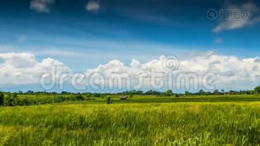 云层中的绿色稻田视频