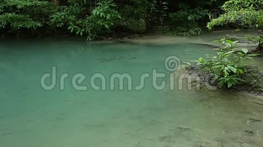 鱼在瀑布里游泳视频