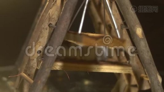 毛茸茸的仓鼠躲在木制操场上，站在镜子展示台上，动作缓慢视频
