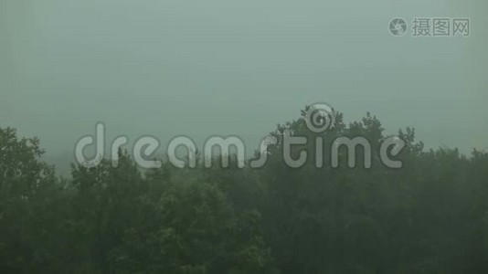 闪电和风在森林里下了很大的雨。视频