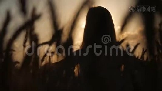 小女孩在日落的草地上挥手。 日落时分在田野里快乐的漂亮女孩。视频