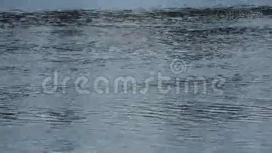 夏天的河水荡漾视频