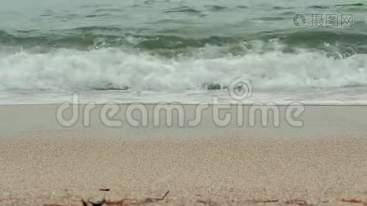 日出时年轻女子沿着海边的腿。 女孩踩着潮湿的海岸线沙。视频
