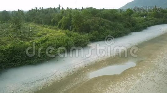 椰子树种植园雄蜂鸟瞰美景。4k视频视频