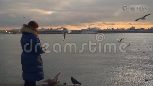一个女人正在喂海鸥。 晚上时间视频