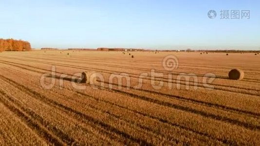 空中视野在田野上滚动干草堆稻草，收割小麦。 带着一捆干草的田园。 景观片段视频