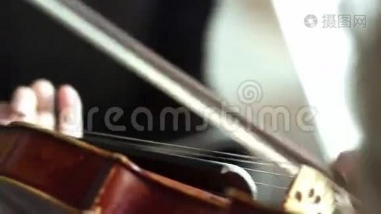 在音乐会上小提琴视频
