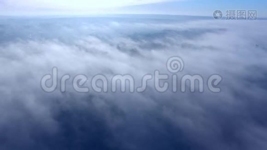 早晨森林上空的雾，鸟瞰视频