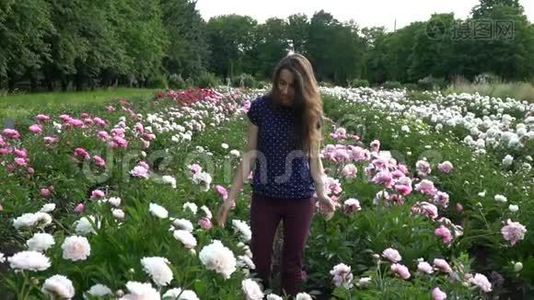 美丽的年轻女子走在牡丹花的夏天视频