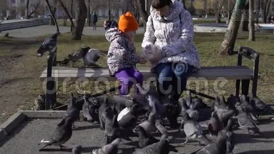 在寒冷的日子里，年轻的女人和小女孩用葵花籽喂鸽子。视频