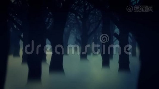 4黑森林雾树动画背景壁纸视频