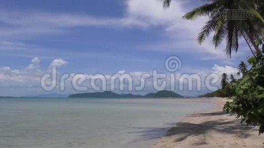 热带岛屿海滩。 平静的大海白沙棕榈树视频
