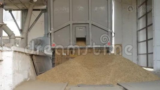 汽车卡车把玉米或黑麦运到电梯里，农业视频