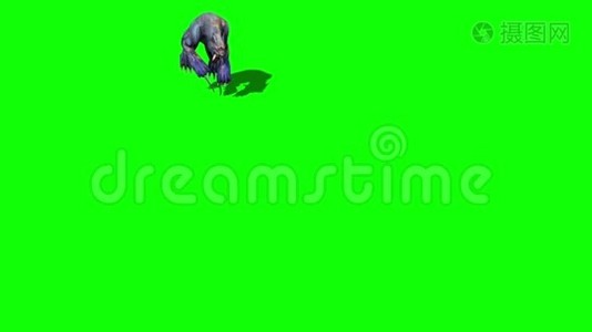 怪物美洲狮跳跃攻击顶部绿色屏幕3D渲染动画视频