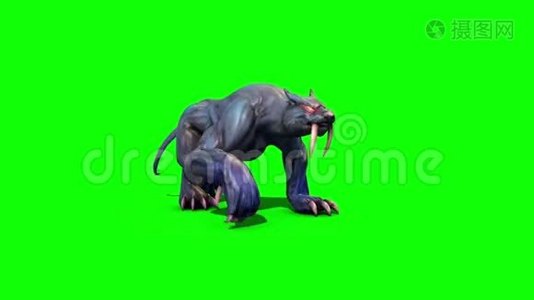 怪兽美洲狮漫步循环绿幕3D渲染动画视频