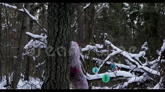 冬林中的雪人童话人物.. 户外幻想超高清镜头。视频