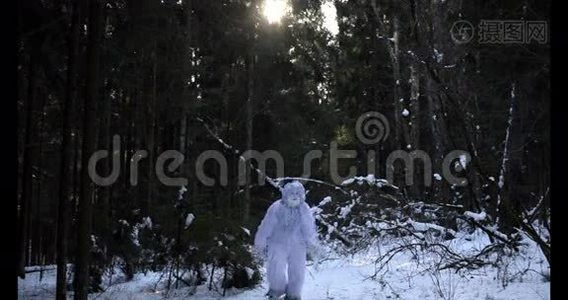 冬林中的雪人童话人物.. 户外奇幻4K镜头..视频