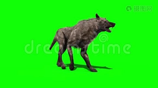 狼人行走周期绿色屏幕3D渲染动画视频