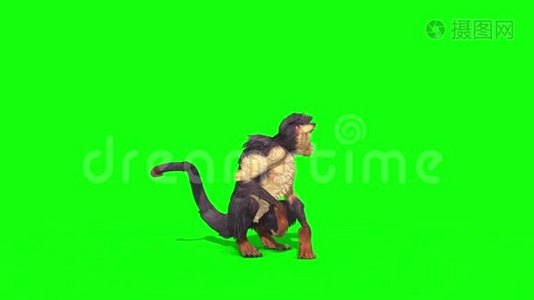 猴子转侧绿屏3D渲染动画视频