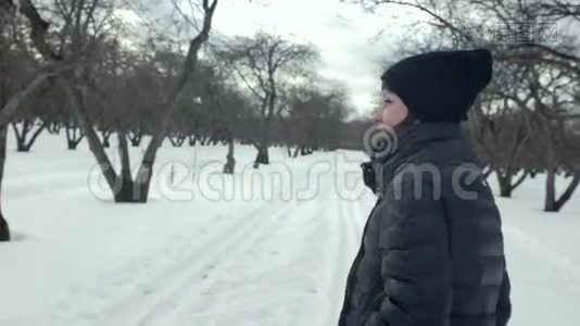 快乐的浪漫女孩在雪园看着镜头。 冬天微笑女人户外活动的候选肖像。视频