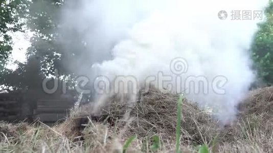 在花园的火炉里烧干草视频