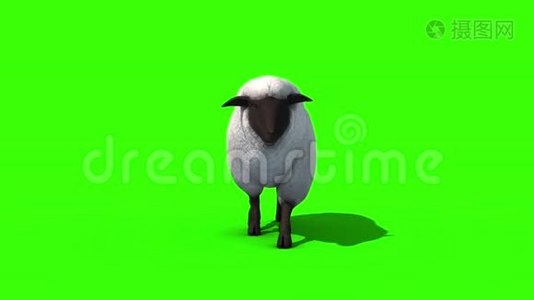 黑羊步行单车前绿屏三维渲染动画视频