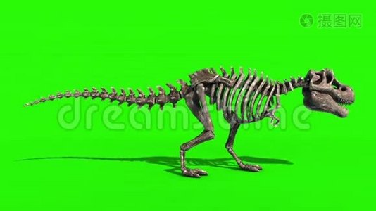 TREX骨架攻击侧面侏罗纪世界三维渲染绿色屏幕视频