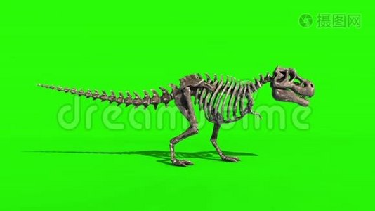TREX骨架模具侧面侏罗纪世界三维显示绿色屏幕视频