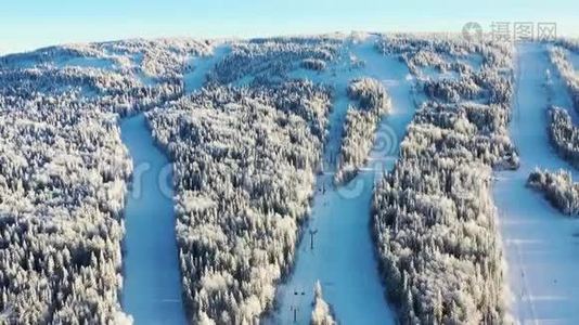 带电梯的滑雪坡的俯视图。 录像。 带针叶林和滑雪场的雪覆盖山坡美景视频