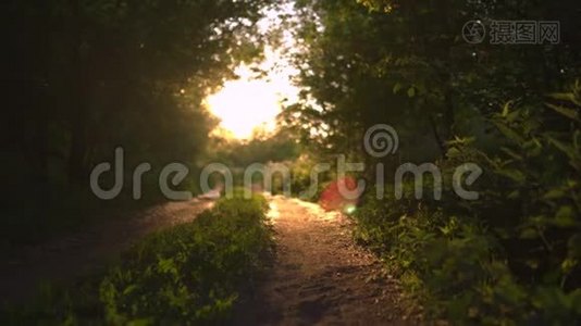 夕阳西下的乡间小路上，有着美丽的傍晚的阳光，周围是绿树成荫-大自然是一个伟大的地方视频