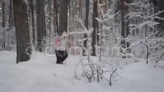 穿着温暖运动服的老年妇女在新鲜空气中的雪林中从事北欧行走。 领取养恤金者视频