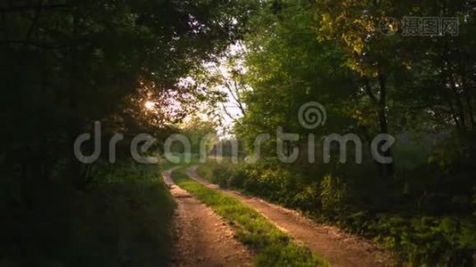 夕阳西下的乡间小路上，有着美丽的傍晚的阳光，周围是绿树成荫-大自然是一个伟大的地方视频