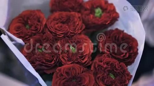 女花匠捧着一束美丽的深红色玫瑰花，倾斜着视频