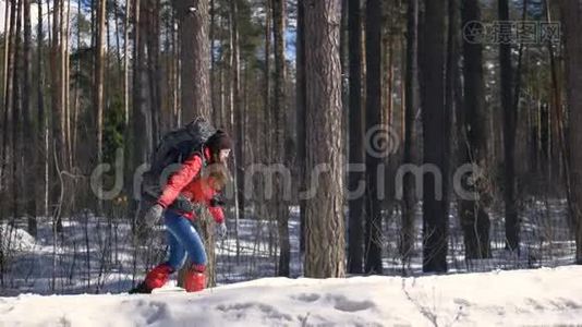 雪徒步旅行者在冬天的森林里徒步旅行。 旅行，徒步旅行，极限运动的概念..视频