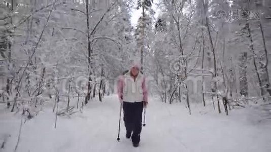 穿着时髦的老年妇女从事一种新型的运动，在冬天的积雪覆盖的木材中行走。 在职养恤金领取者视频