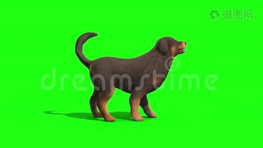 黑色大狗树皮边绿屏3D渲染动画视频